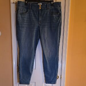 Lane Bryant Light Blue Skinny Jeans
